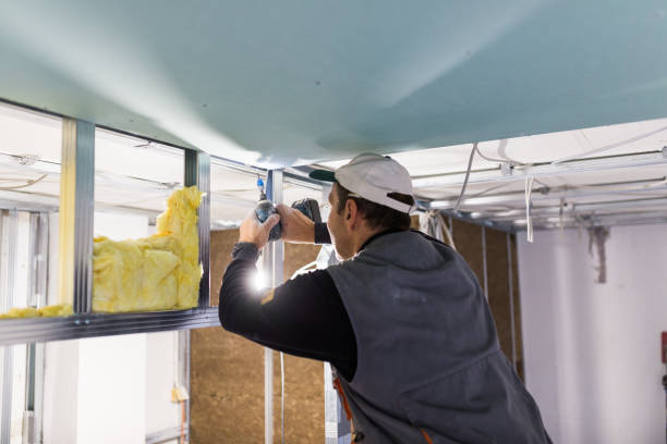 Best Insulation Removal Services  in Bort, GA