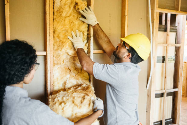 Best Insulation Inspection Services  in Bort, GA