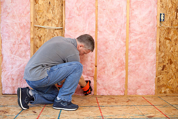 Best Crawl Space Insulation  in Bort, GA