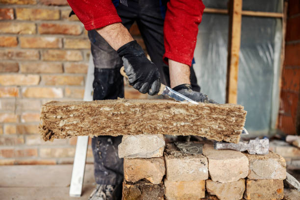 Best Attic Insulation Installation  in Bort, GA