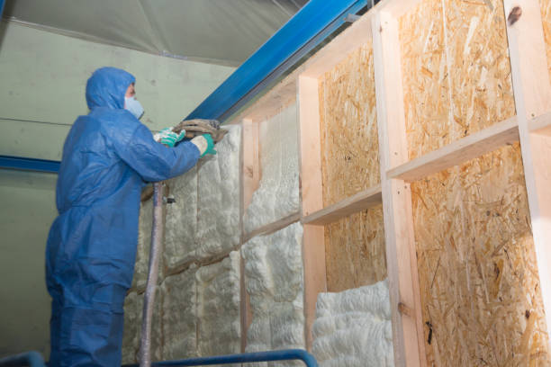 Best Attic Insulation Installation  in Bort, GA