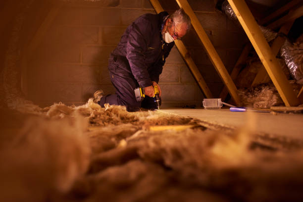 Best Insulation for New Construction  in Bort, GA